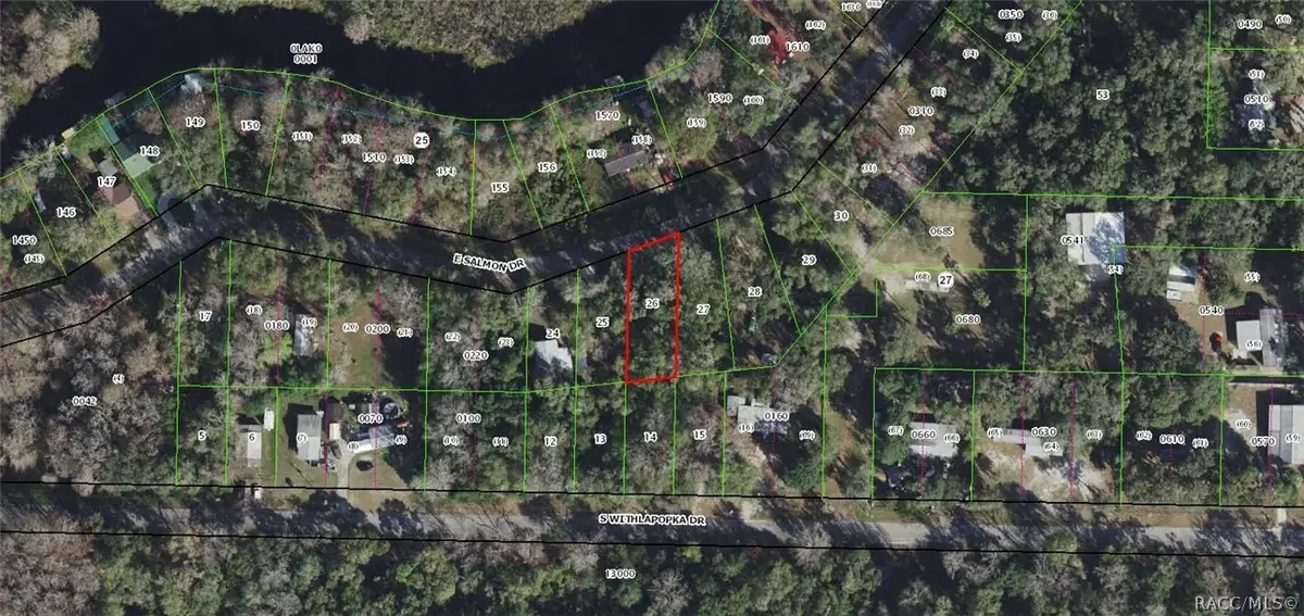 11400 E Salmon, Floral City, FL 34436 - #1