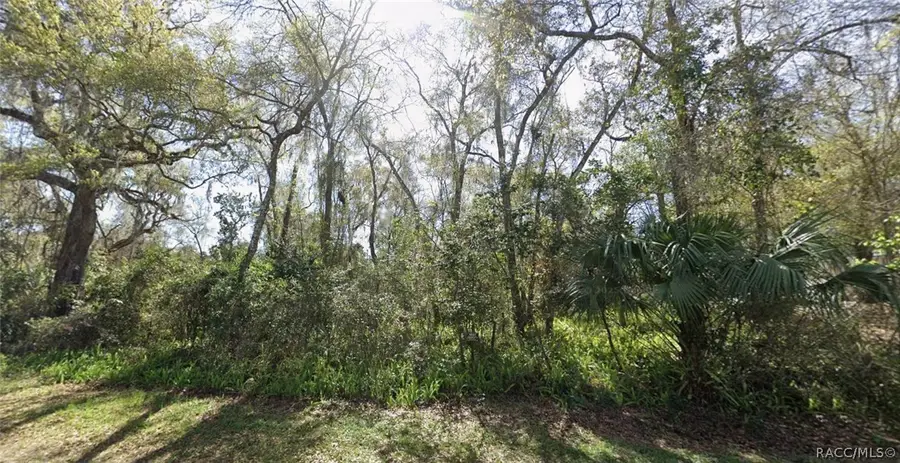 11400 E Salmon, Floral City, FL 34436 - #2