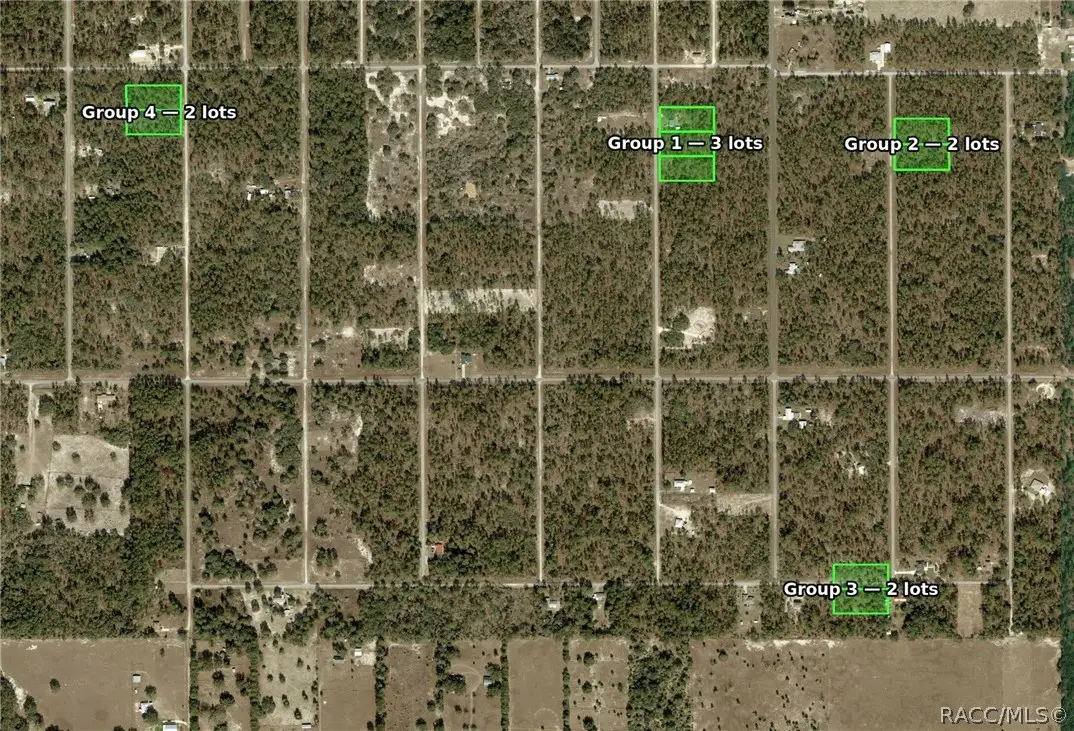 0000 SE 134th Court, Dunnellon, FL 34431 - #1