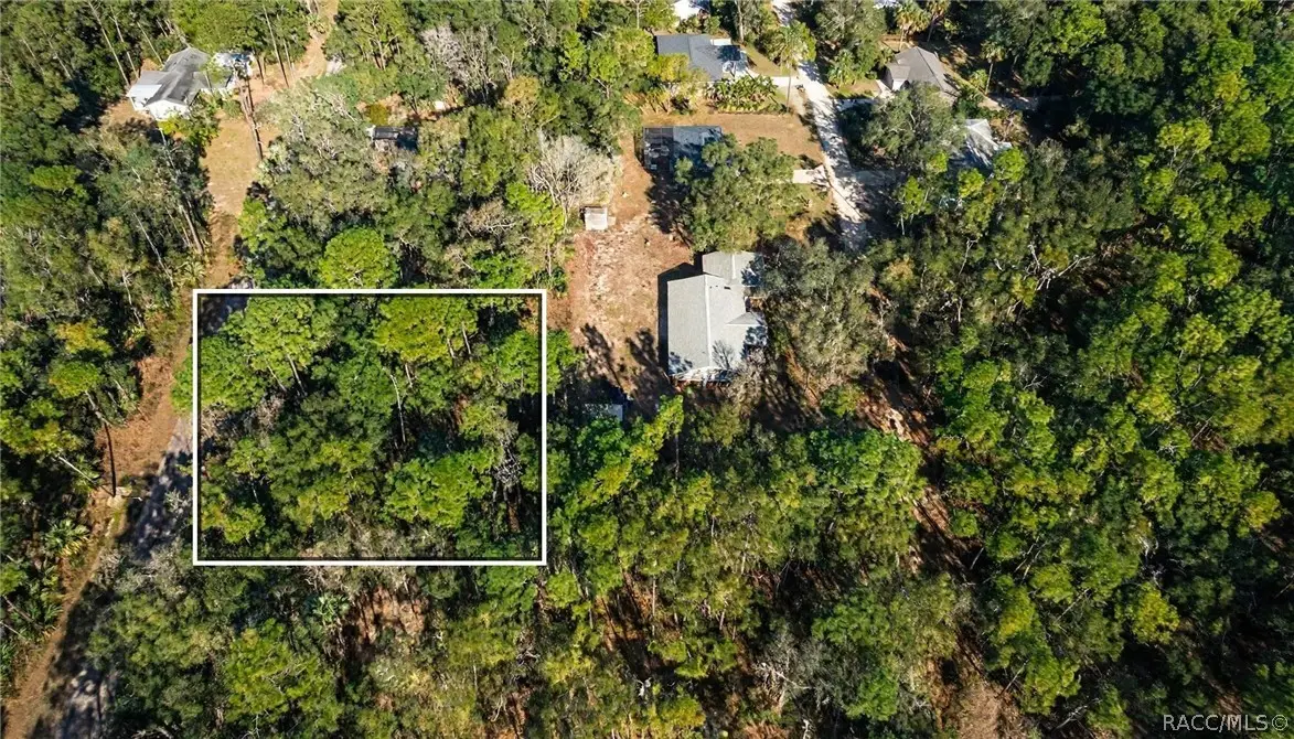 8395 N Ira Martin Avenue, Crystal River, FL 34428 - #1