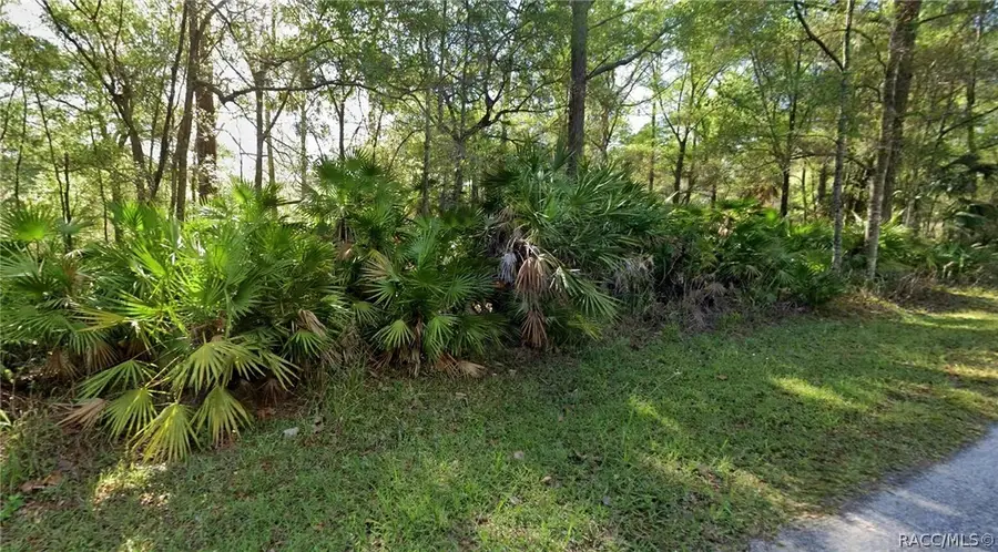 8395 N Ira Martin Avenue, Crystal River, FL 34428 - #2