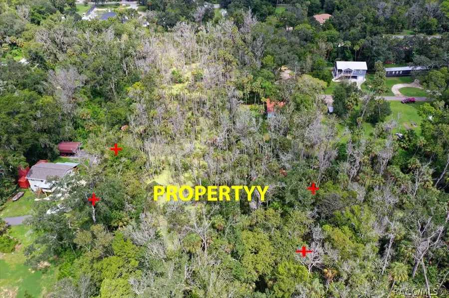 10487 W Palmetto Street, Homosassa, FL 34448 - #3