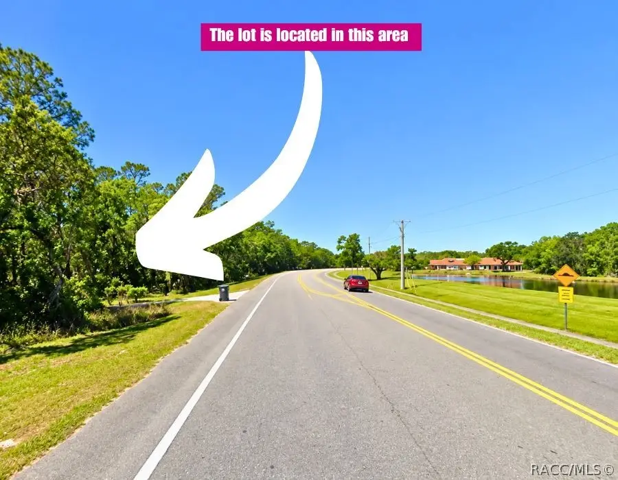 0 Lithia Pinecrest Road, Valrico, FL 33596 - #3