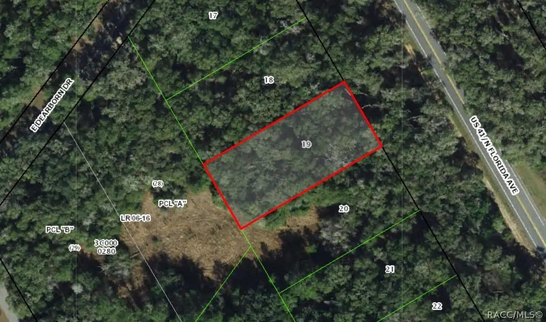 4940 N Florida Avenue, Hernando, FL 34442 - #1
