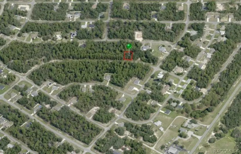 819 W Bannister Drive, Citrus Springs, FL 34434 - #2