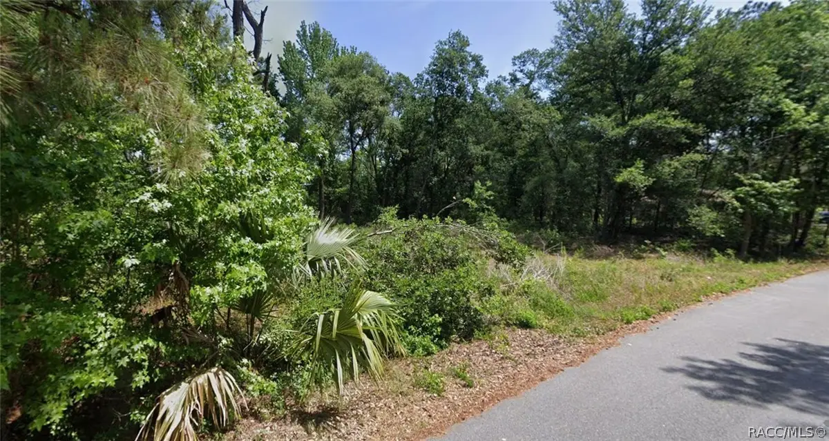 0 Oak Lane Way, Silver Springs Shores, FL 34472 - #1