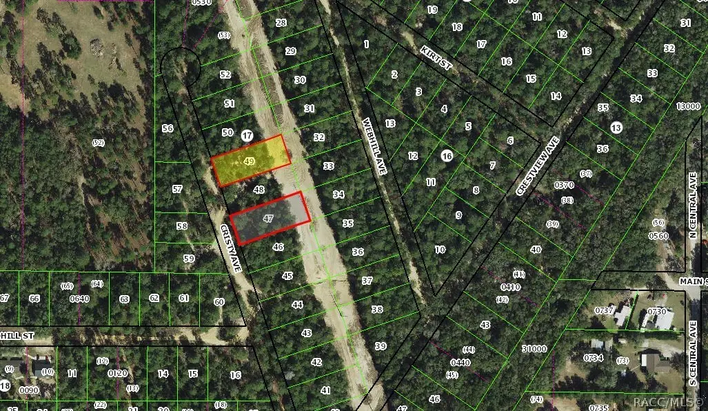 106 N Cristy Avenue, Inverness, FL 34452 - #1