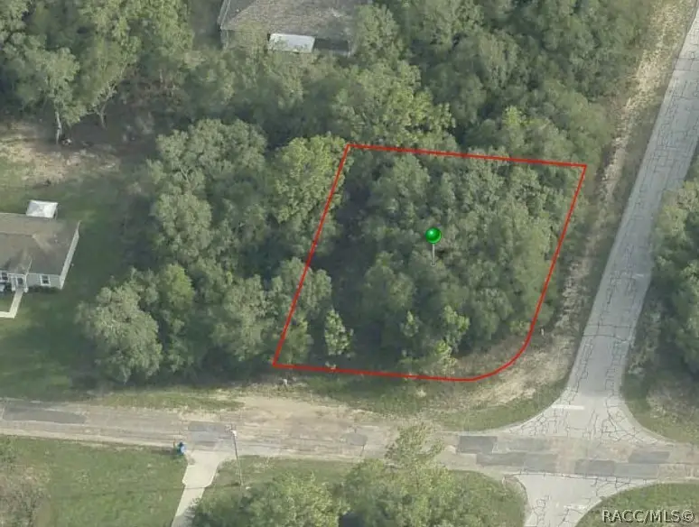2005 W Swanson Drive, Citrus Springs, FL 34434 - #1