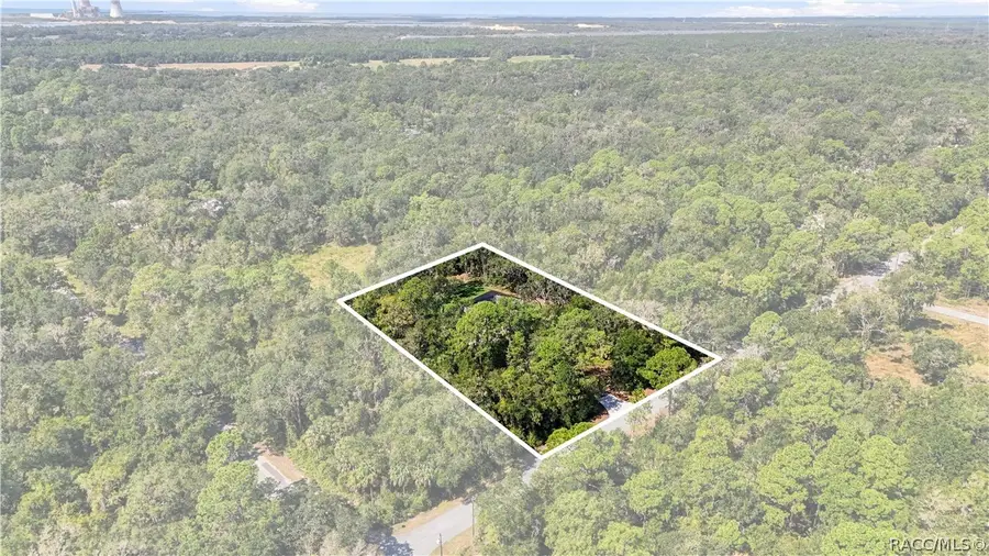 9174 N China Pink Way, Crystal River, FL 34428 - #2