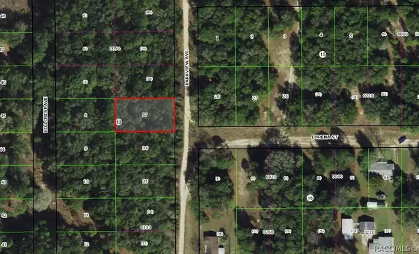 1001 Parkview Avenue, Inverness, FL 34453