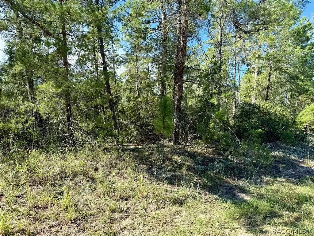 4419 W Malaluka Circle, Citrus Springs, FL 34433 - #1