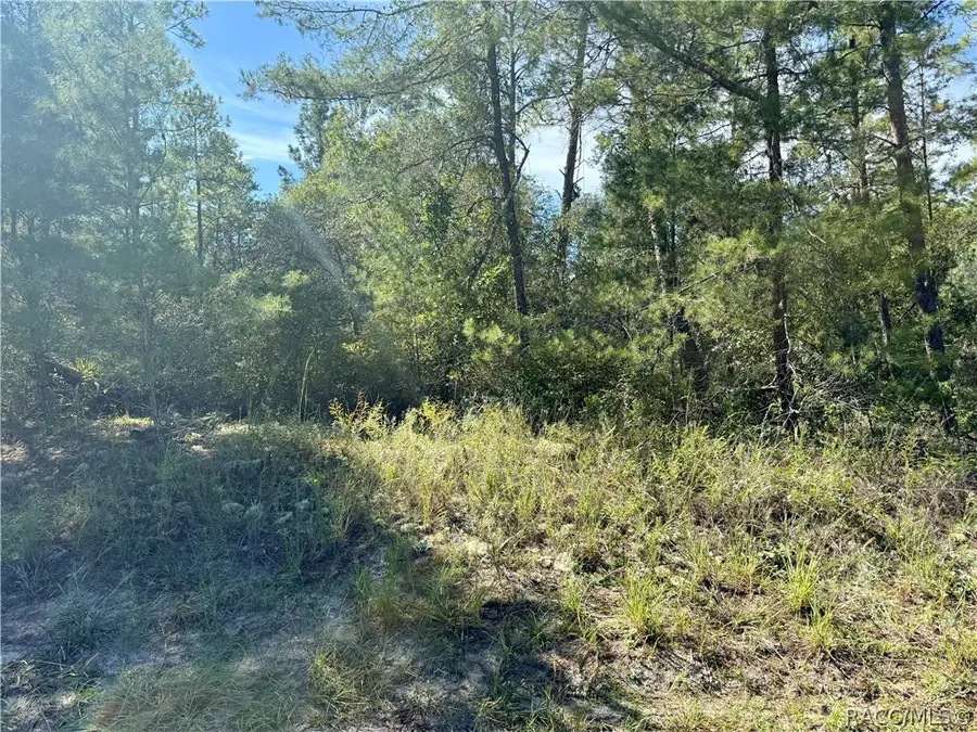 4419 W Malaluka Circle, Citrus Springs, FL 34433 - #2