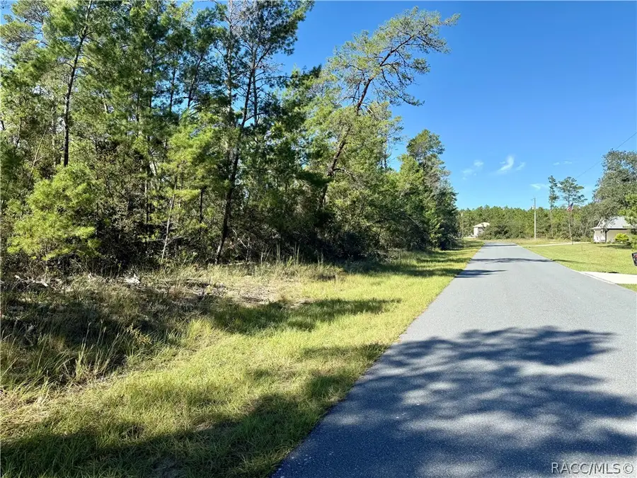 4419 W Malaluka Circle, Citrus Springs, FL 34433 - #3
