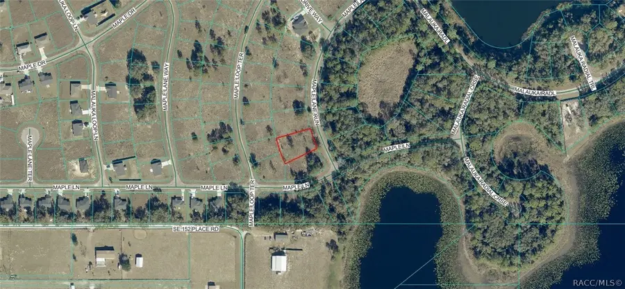 6 Maple Lane Run, Ocklawaha, FL 32179 - #2