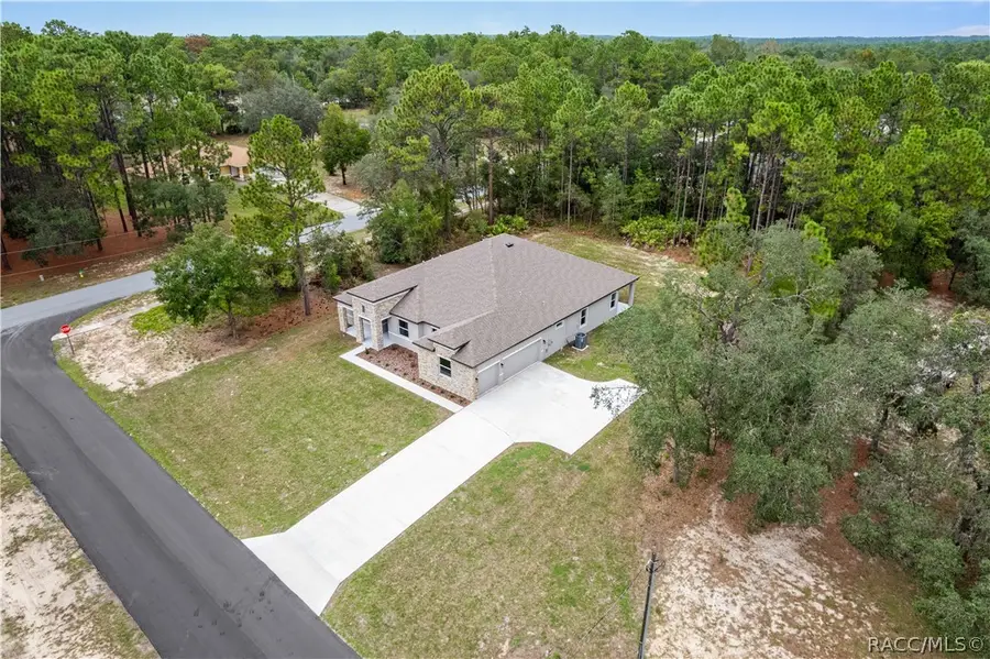 3339 W Villanova Court, Beverly Hills, FL 34465 - #2