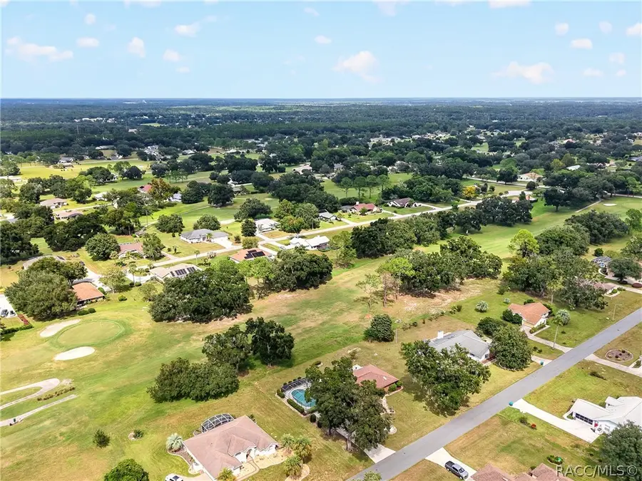 205 E Falconry Court, Hernando, FL 34442 - #3