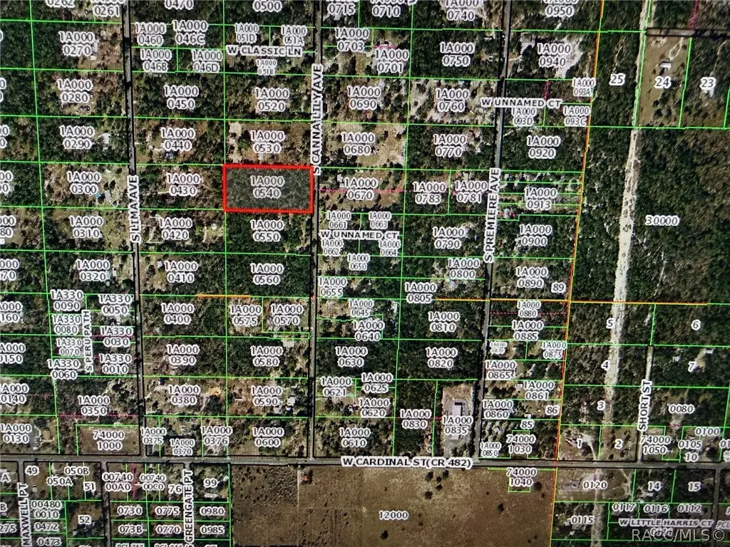 6348 S Canna Lily Avenue, Homosassa, FL 34446 - #1