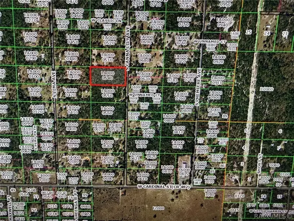 6348 S Canna Lily Avenue, Homosassa, FL 34446