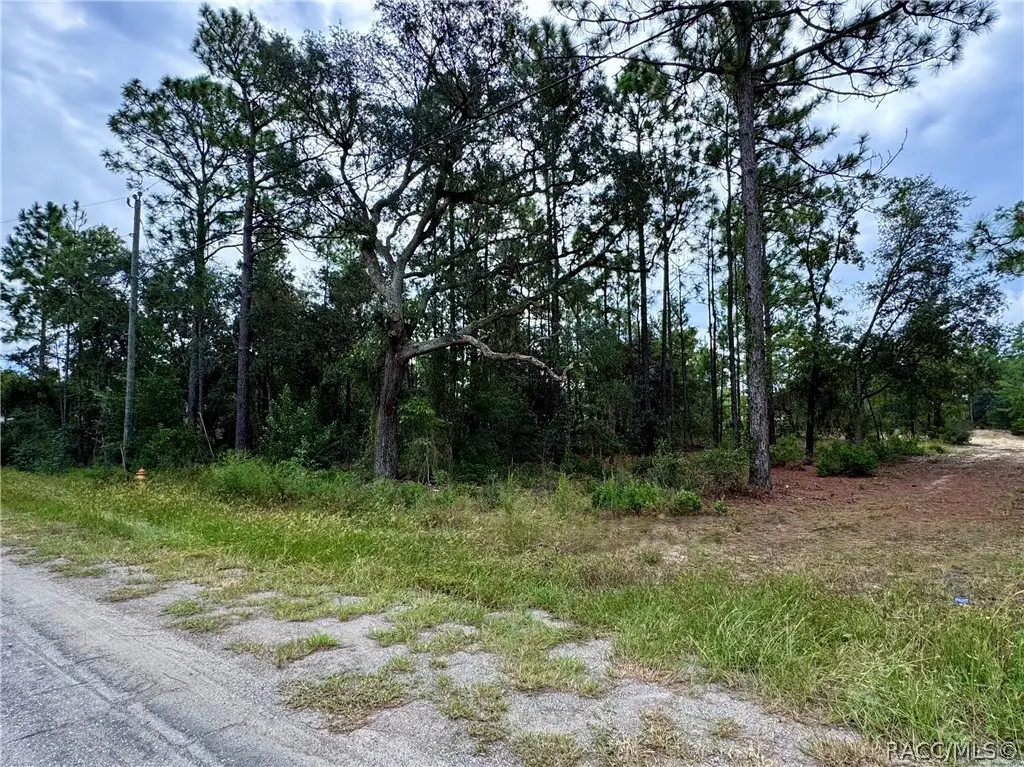 2854 W Andromedae Drive, Citrus Springs, FL 34433 - #1