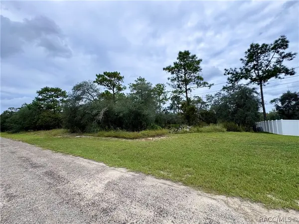 1853 W Skyline Drive, Citrus Springs, FL 34434