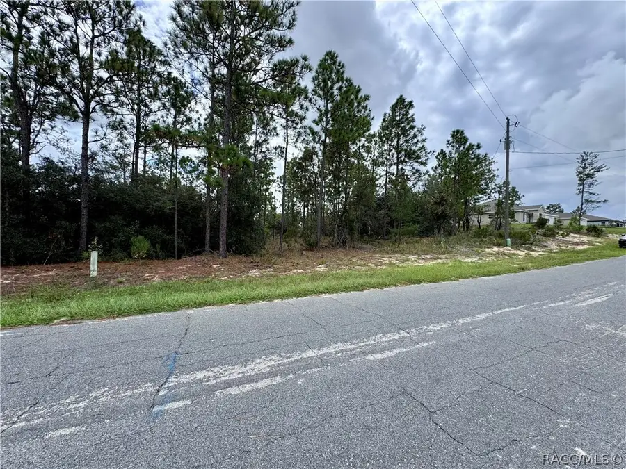 10250 N Spaulding Drive, Citrus Springs, FL 34433 - #2