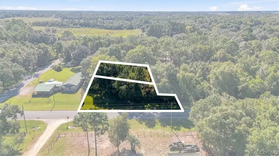 7095 N Carl G Rose Highway, Hernando, FL 34442 - #2