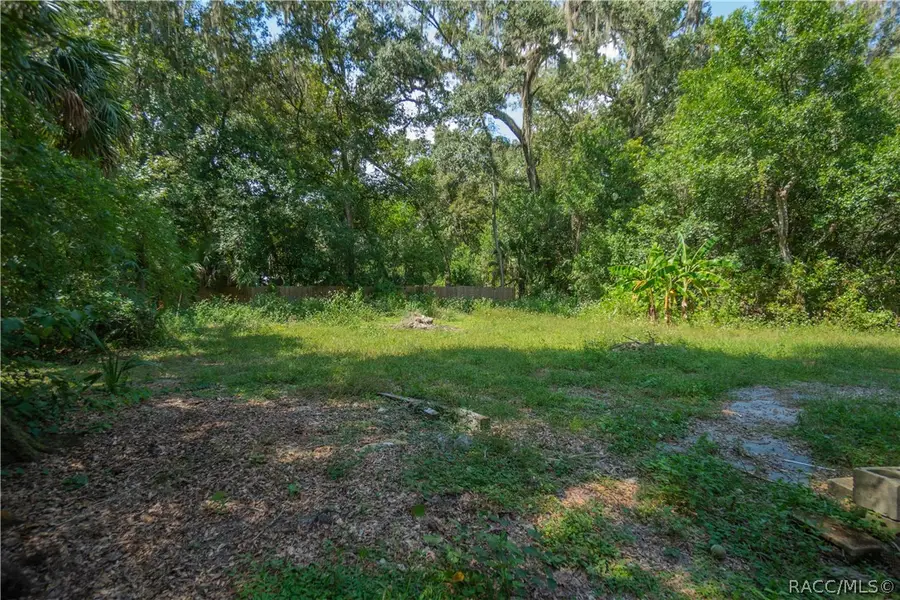 9401 E Tin Pan Alley, Inverness, FL 34453 - #3