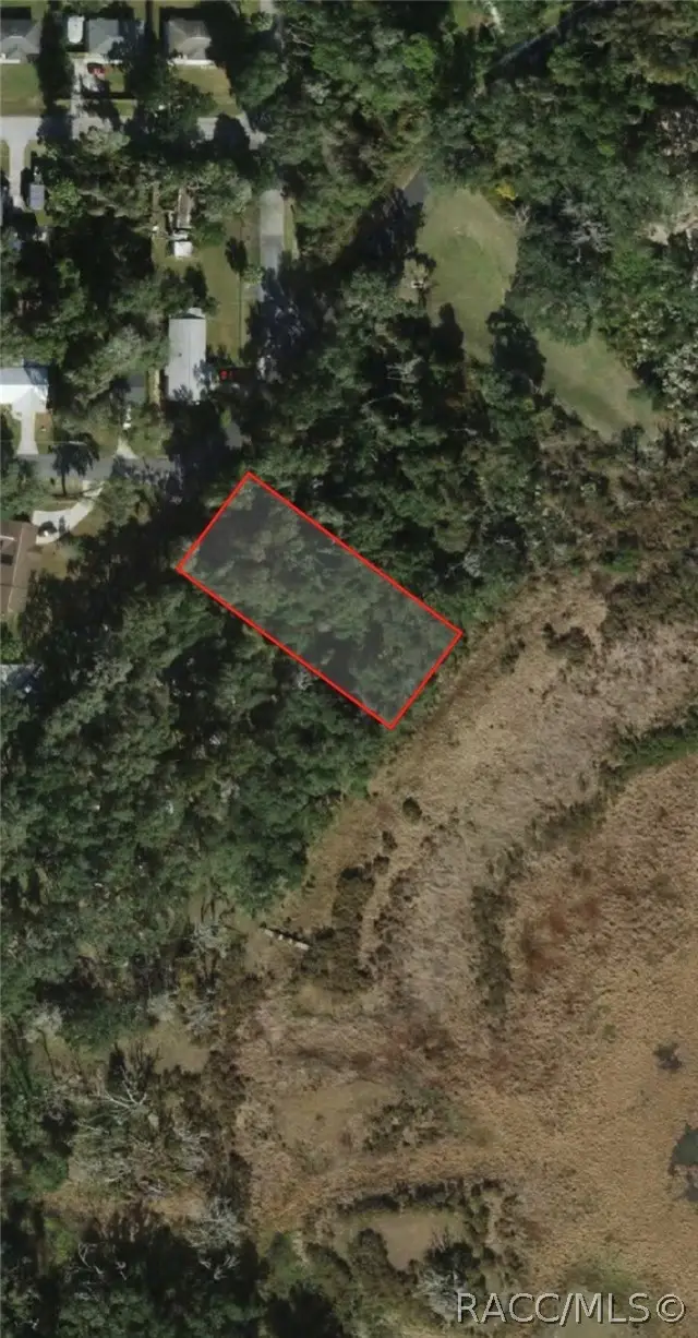 3301 E Lake Nina Drive, Inverness, FL 34453 - #2