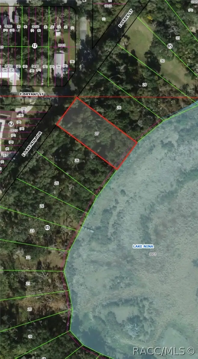 3301 E Lake Nina Drive, Inverness, FL 34453 - #3