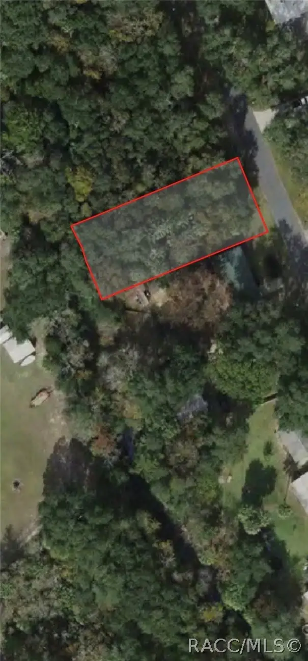 368 N Robin Hood Road, Inverness, FL 34450 - #1