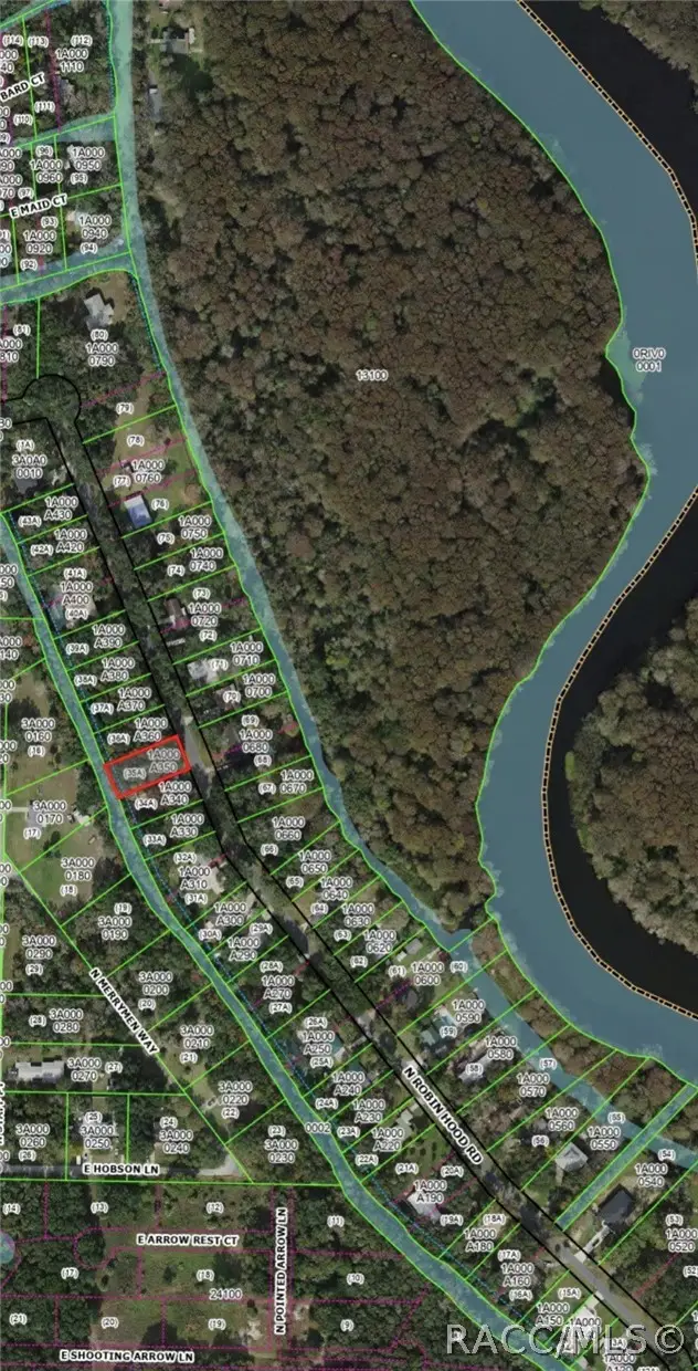 368 N Robin Hood Road, Inverness, FL 34450 - #3