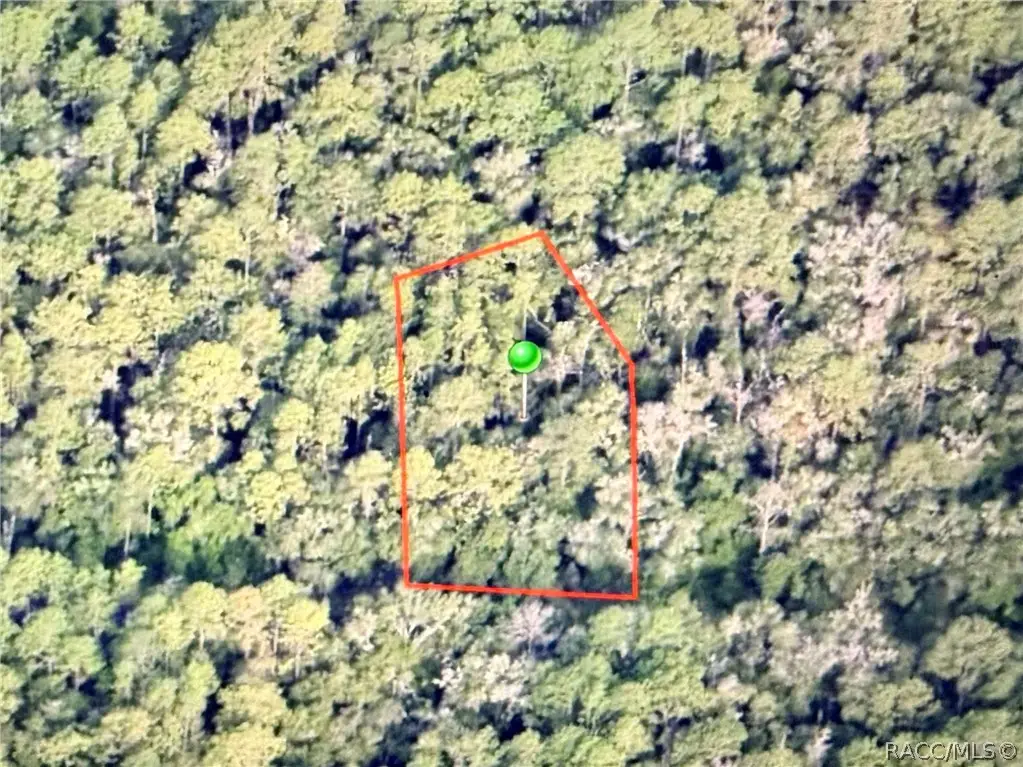 9452 N Irondale Road, Citrus Springs, FL 34434 - #1
