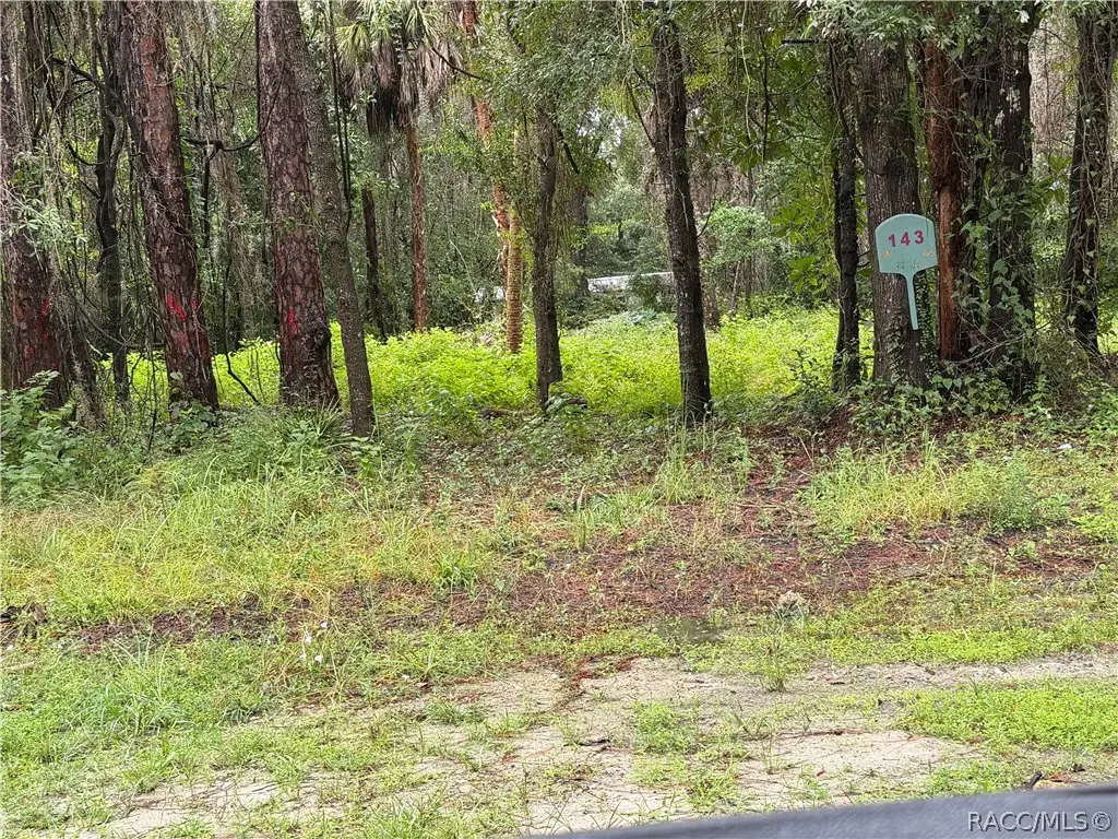 143 N Schoolcraft Drive, Inglis, FL 34449 - #1