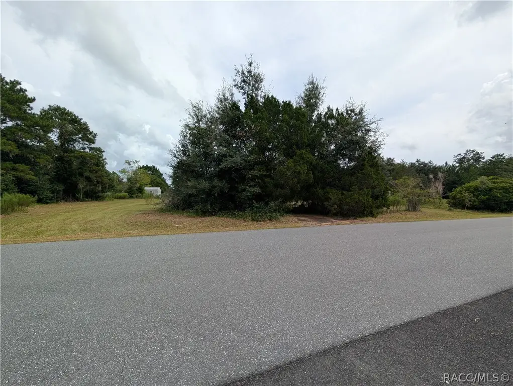 10133 S Appaloosa Avenue, Floral City, FL 34436 - #1