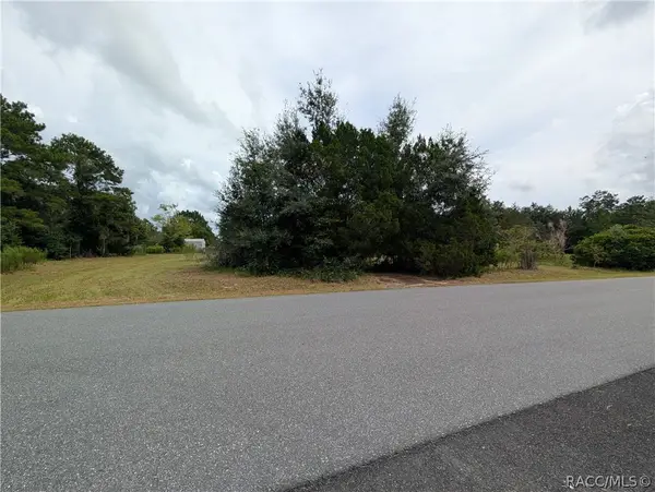 10133 S Appaloosa Avenue, Floral City, FL 34436