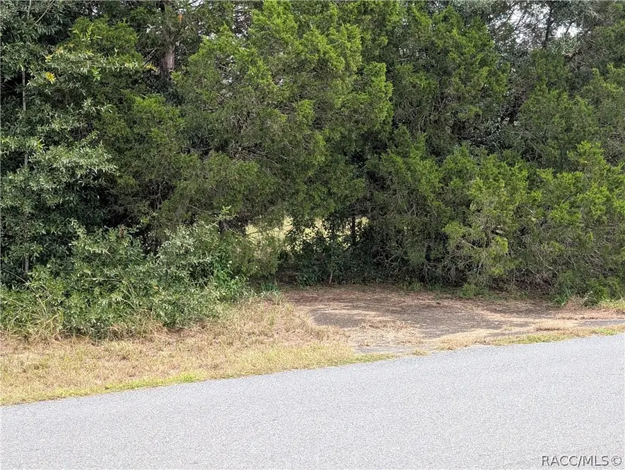 10133 S Appaloosa Avenue, Floral City, FL 34436 - #2