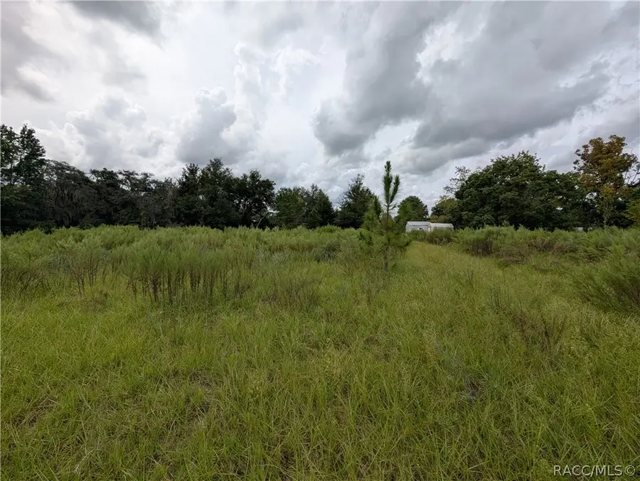 10133 S Appaloosa Avenue, Floral City, FL 34436 - #3