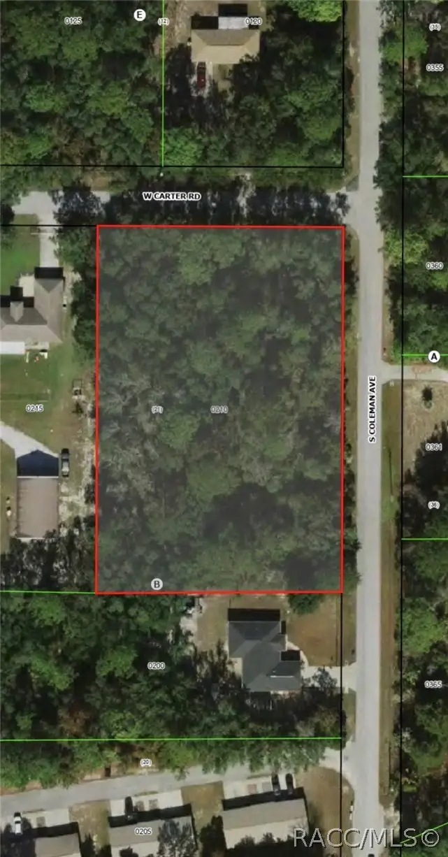 6100 W Carter Road, Homosassa, FL 34448 - #2