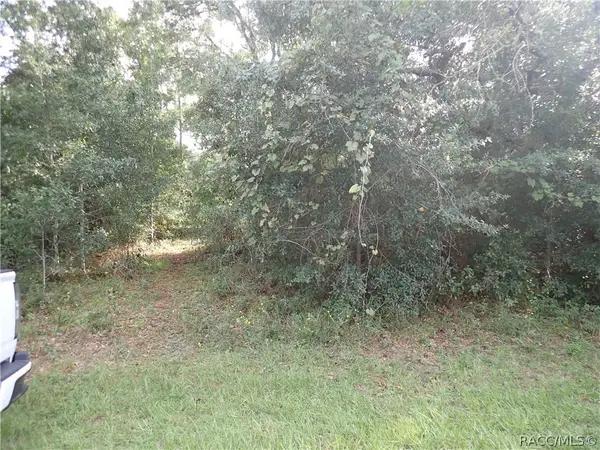 5270 W Shaker Place, Lecanto, FL 34461
