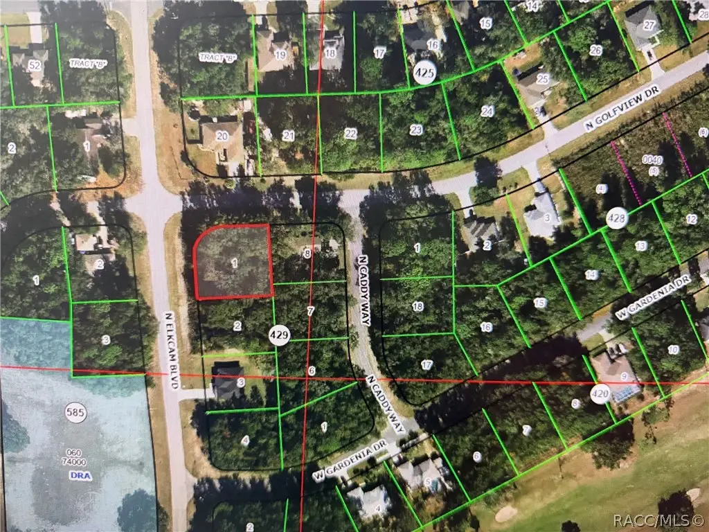 9198 N Golfview Drive, Citrus Springs, FL 34434 - #1