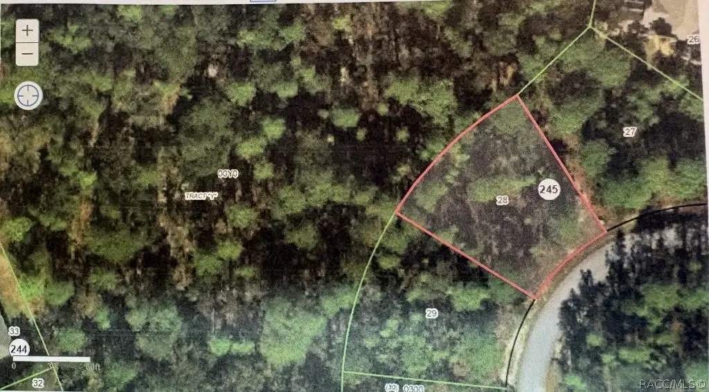 18 Hibiscus Court, Homosassa, FL 34446 - #1