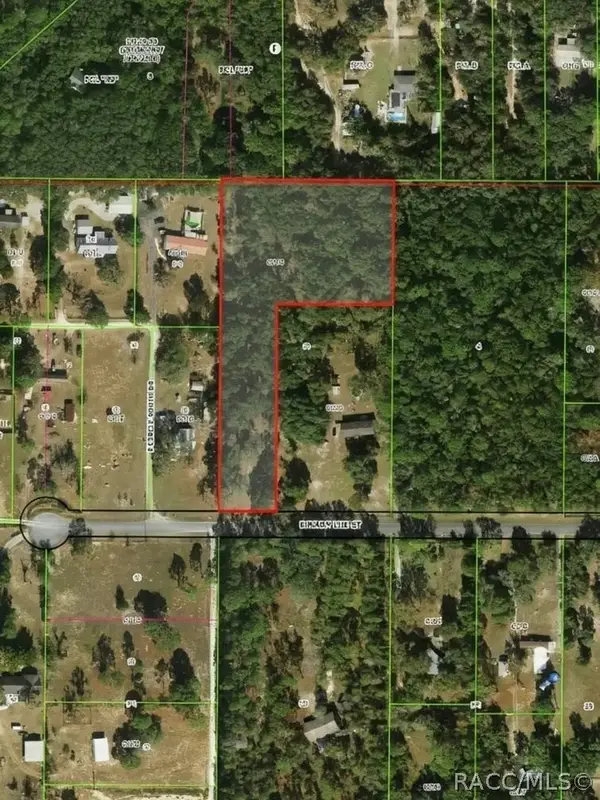 2047 E Mary Lue Street, Inverness, FL 34453