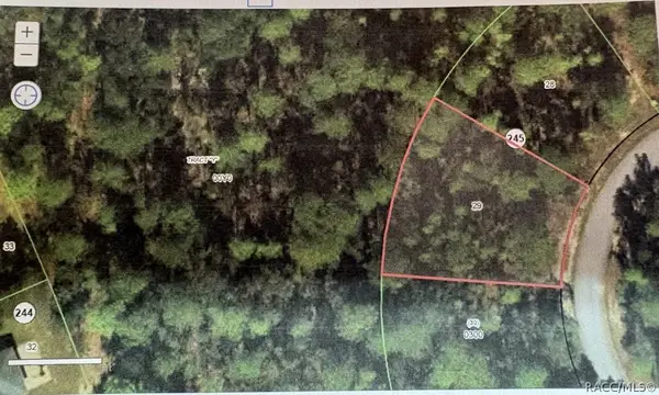 20 Hibiscus Court, Homosassa, FL 34446