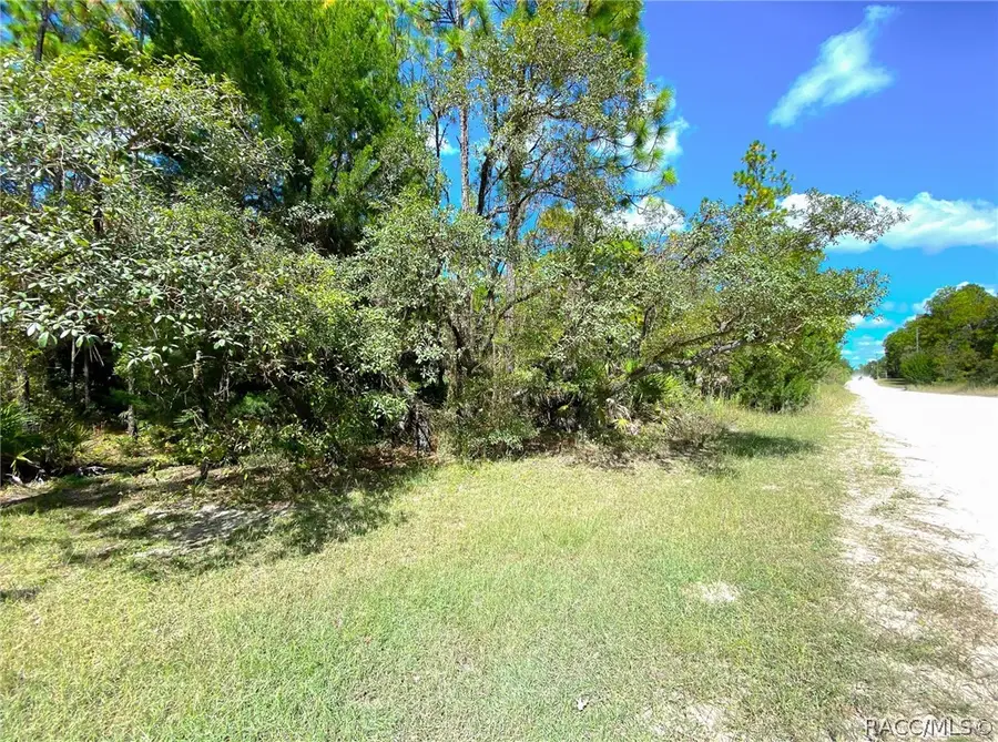 6098 N Velveteen Point, Dunnellon, FL 34433 - #2