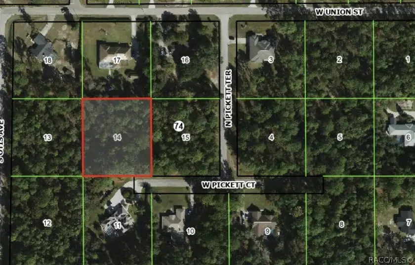 1911 W Pickett Court, Hernando, FL 34442 - #2
