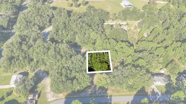 8591 N San Filippo Loop, Crystal River, FL 34428