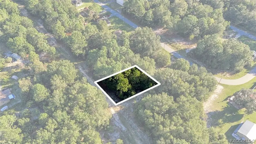 8591 N San Filippo Loop, Crystal River, FL 34428 - #2