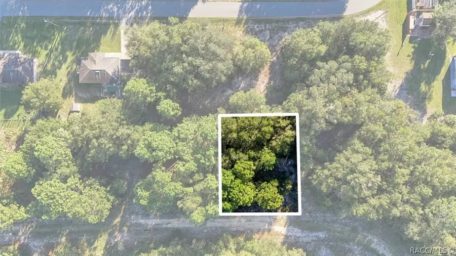 8591 N San Filippo Loop, Crystal River, FL 34428 - #3