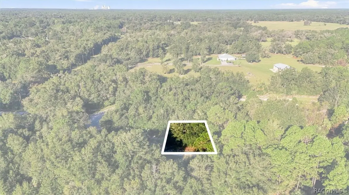 8583 N San Filippo Loop, Crystal River, FL 34428 - #1