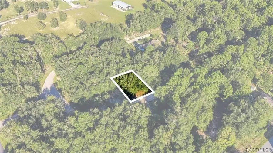 8583 N San Filippo Loop, Crystal River, FL 34428 - #2